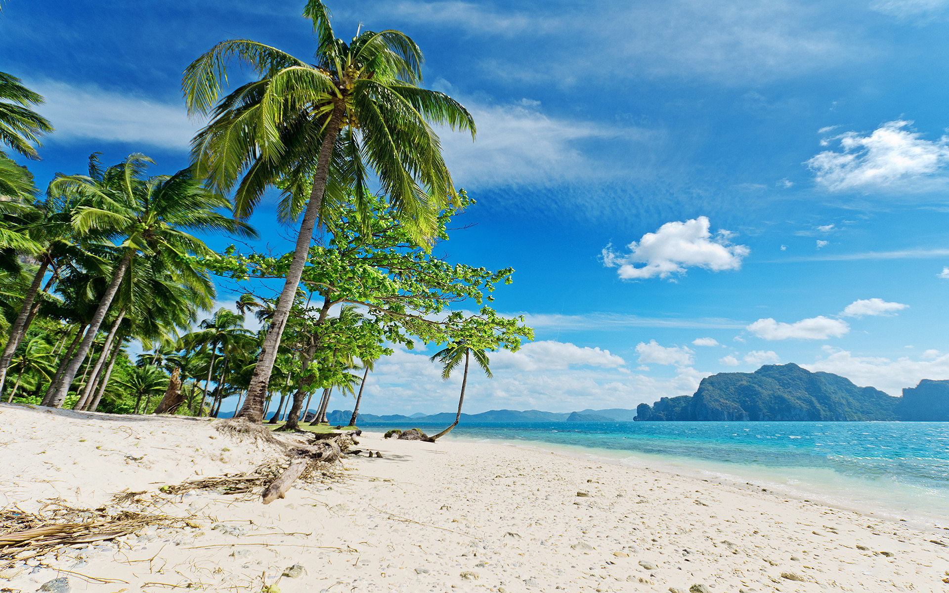 HD wallpaper, Tropical Paradise, Desktop Hd Tonga Background Photo, Beach Beauty, 1920X1200 Hd Desktop, Tonga Travels, Sunny Beaches