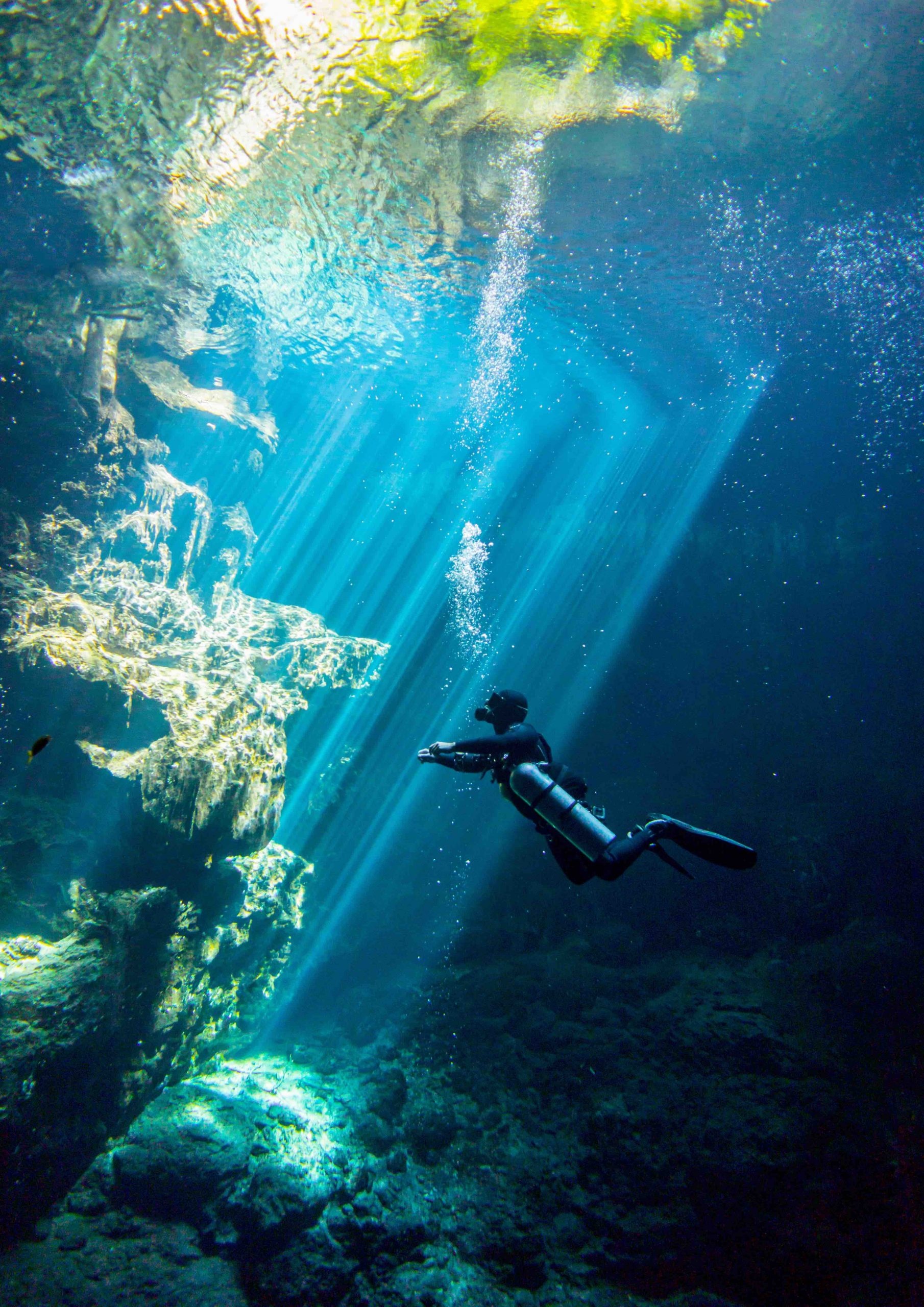 HD wallpaper, Dos Ojos Tulum, Diving Cenotes The Pit, Phone Hd Diving Wallpaper Image, 1810X2560 Hd Phone, Mysterious Underwater Caves, Playa Del Carmen Mexico