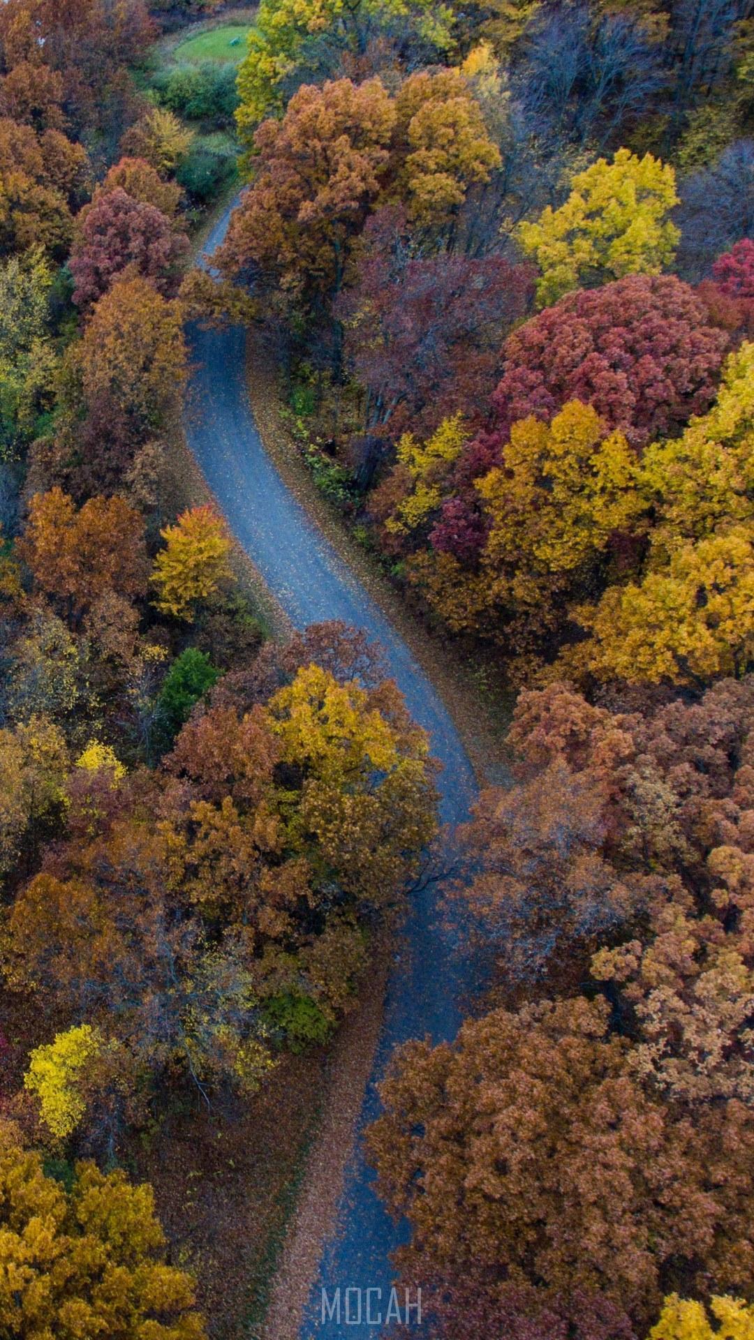 HD wallpaper, 1080X1920, A Drone Shot Of A Curve In A Road Near Autumn Colored Trees, Xiaomi Mi 4 Wallpaper Hd Free Download, Autumn Road From Above