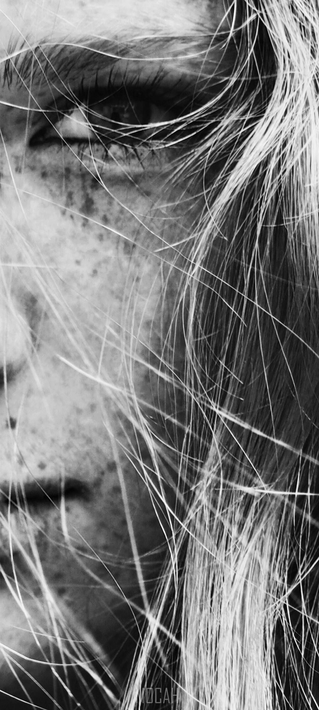 HD wallpaper, Freckles On Dutch Girl Face, Oppo F17 Pro Wallpaper 1080P, 1080X2400, Black And White Close Up Shot Of Young Female Face With Freckles In Amsterdam