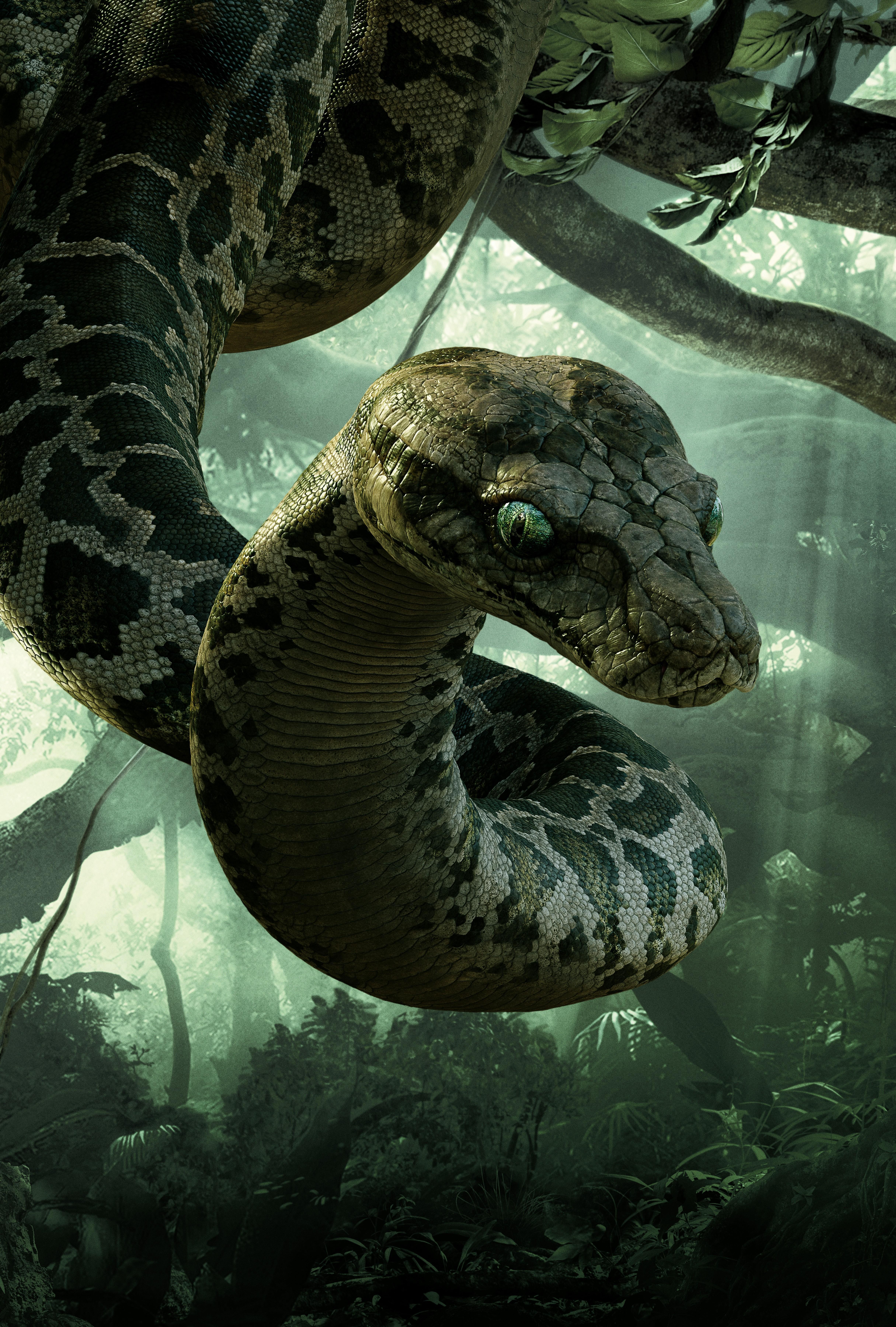 HD wallpaper, Snakes, The Jungle Book 2016, Kaa, 4K