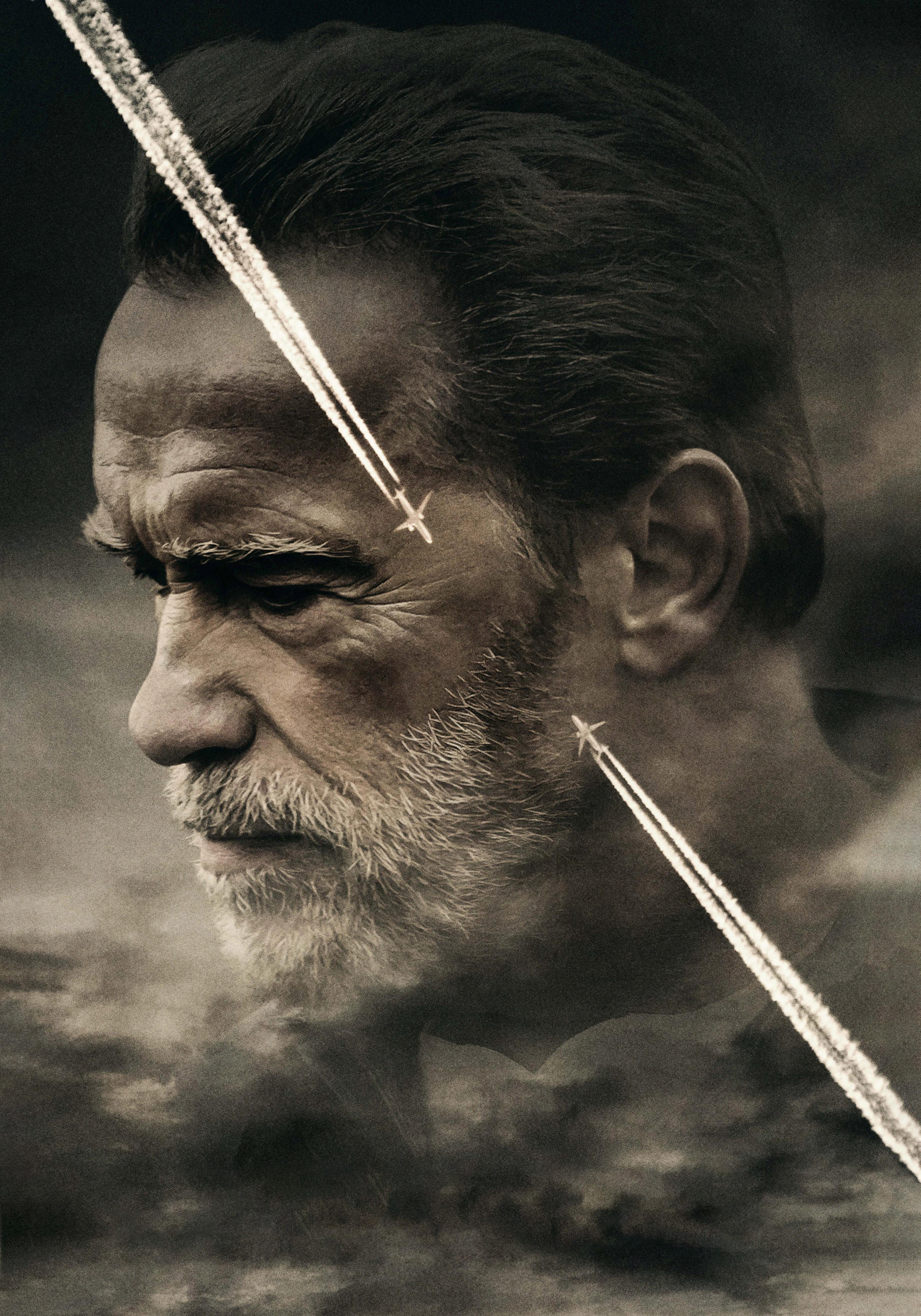 HD wallpaper, Men, Arnold Schwarzenegger, Aftermath 2017, Head, Beard