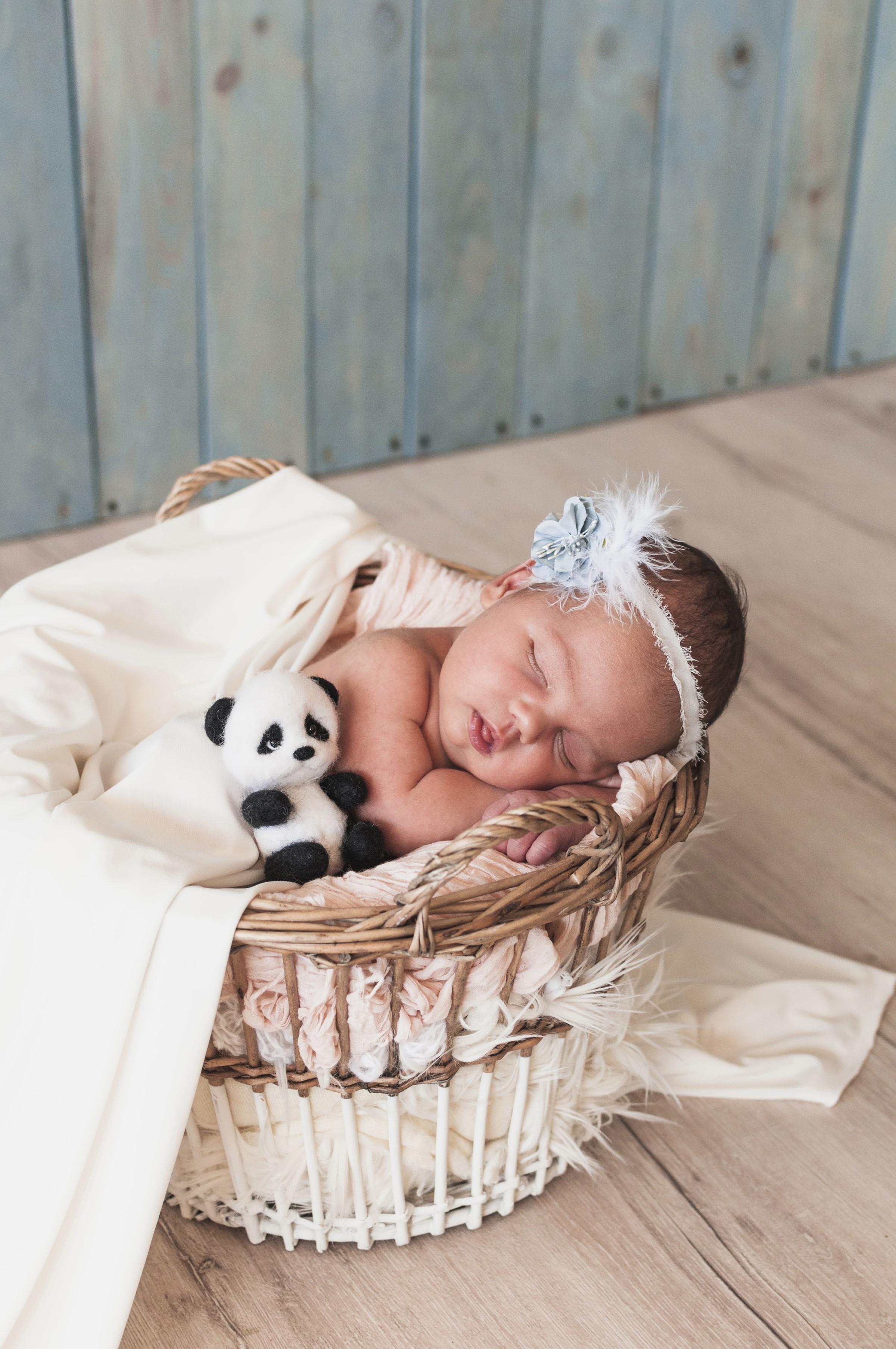 HD wallpaper, Infants, Wicker Basket, Teddy Bear, Sleep