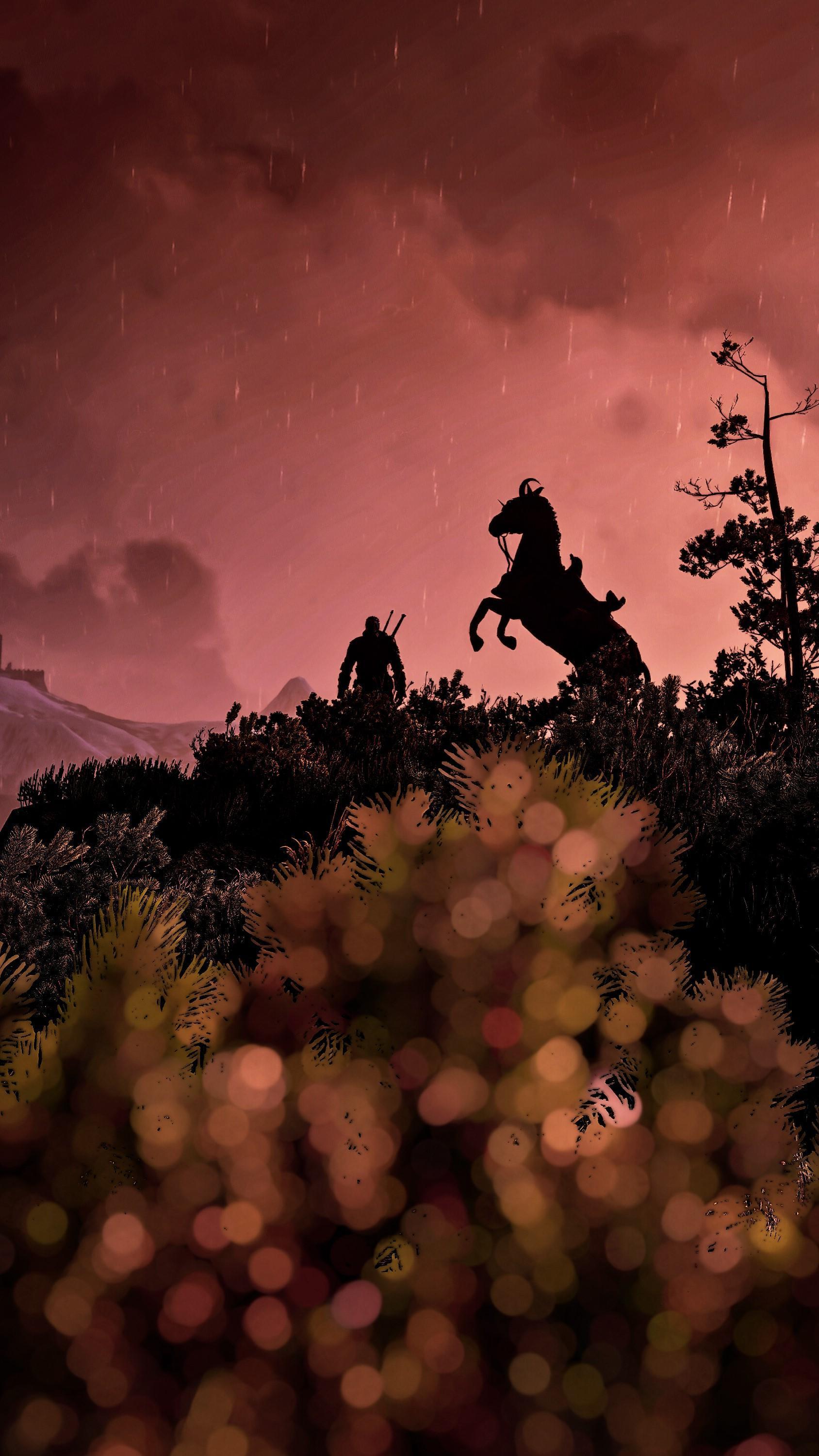 HD wallpaper, Screen Shot, The Witcher, Roach, Geralt Of Rivia, The Witcher 3  Wild Hunt