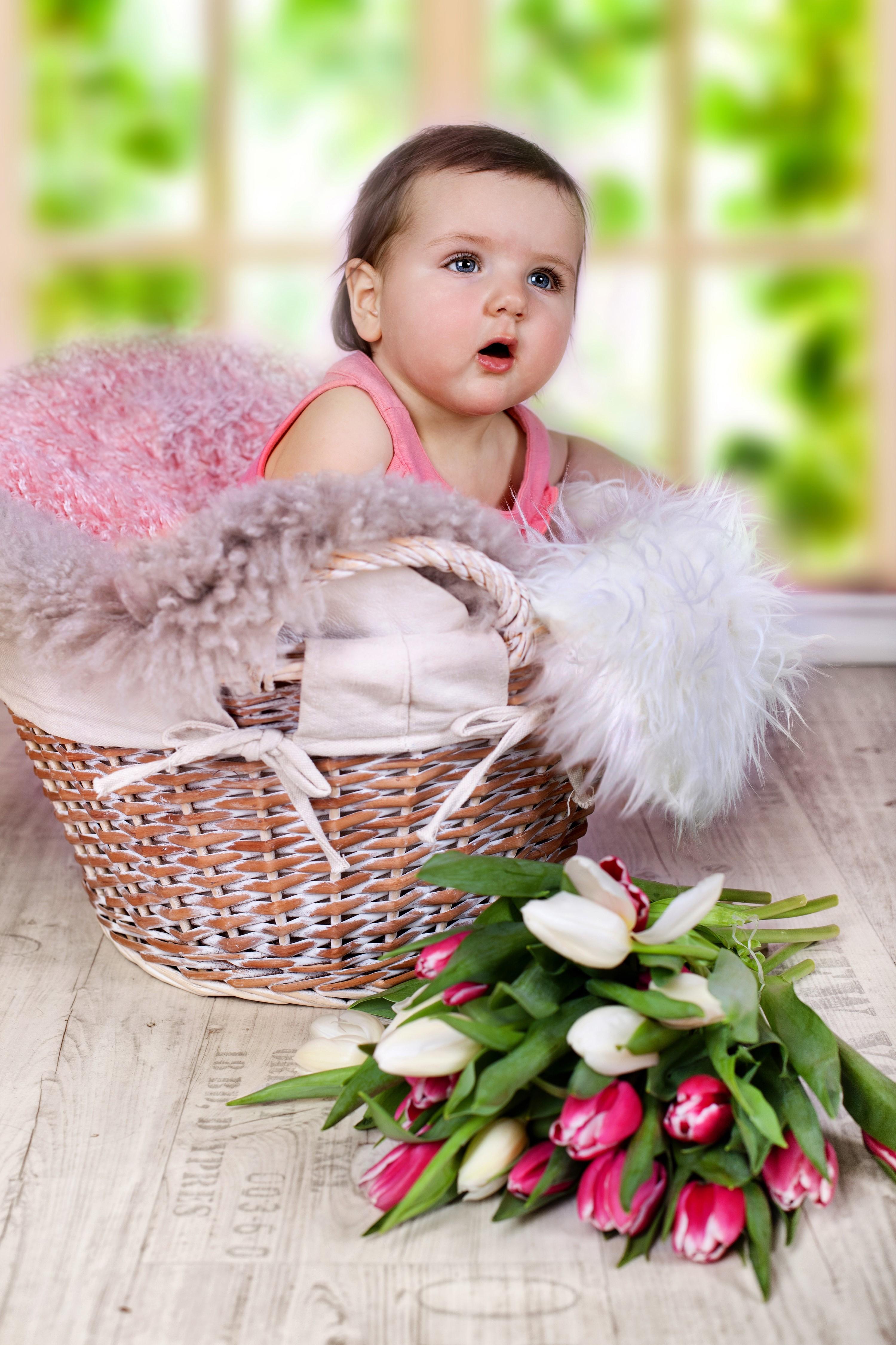 HD wallpaper, Glance, Wicker Basket, Tulips, Infants