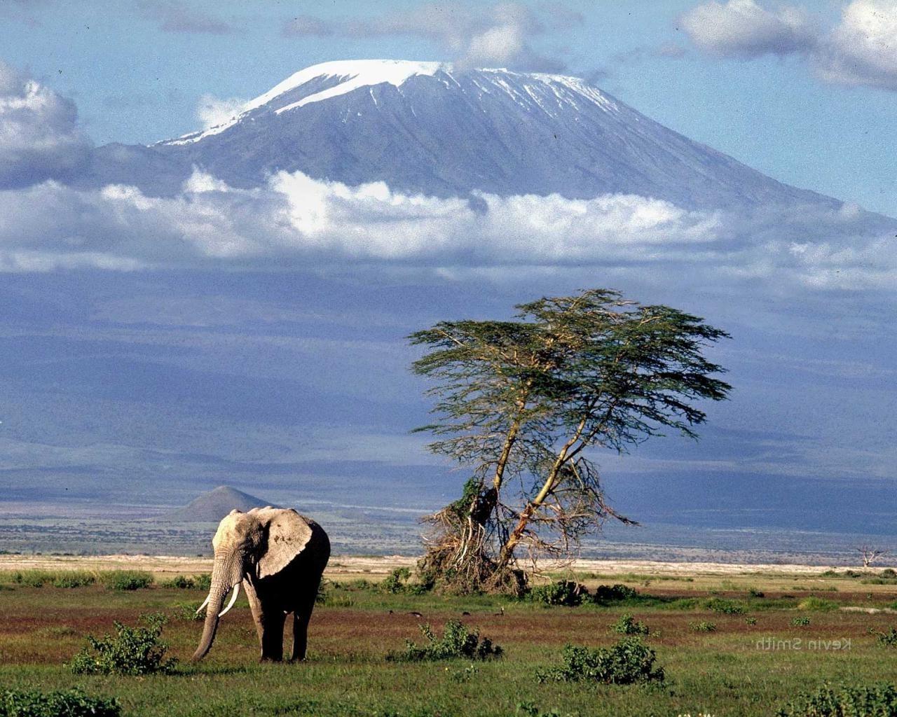 HD wallpaper, 1280X1024 Africa Mount Kilimanjaro Elephant Animals Nature Landscape Wallpaper Jpg 327 Kb