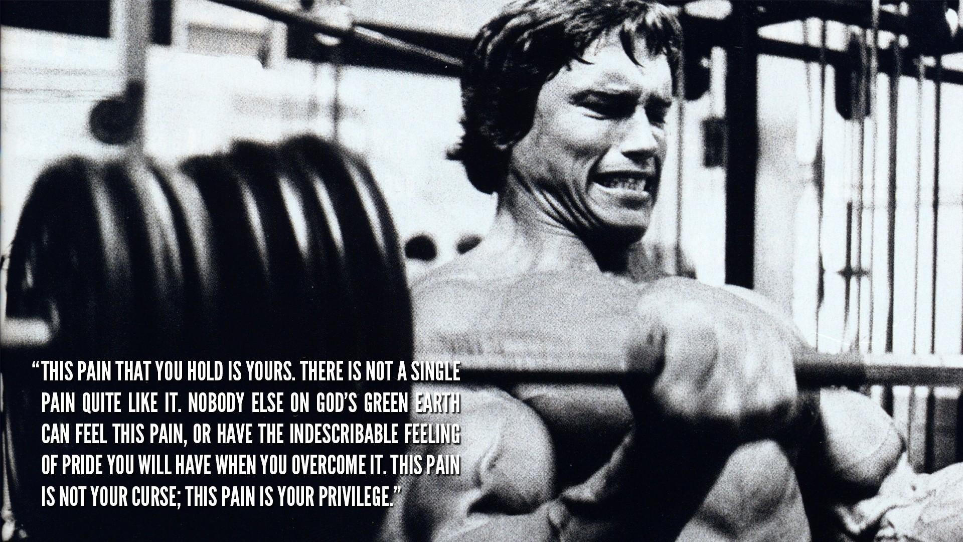 HD wallpaper, 1920X1080 Arnold Schwarzenegger Motivational Quote Bodybuilding Bodybuilder Wallpaper Jpg 659 Kb