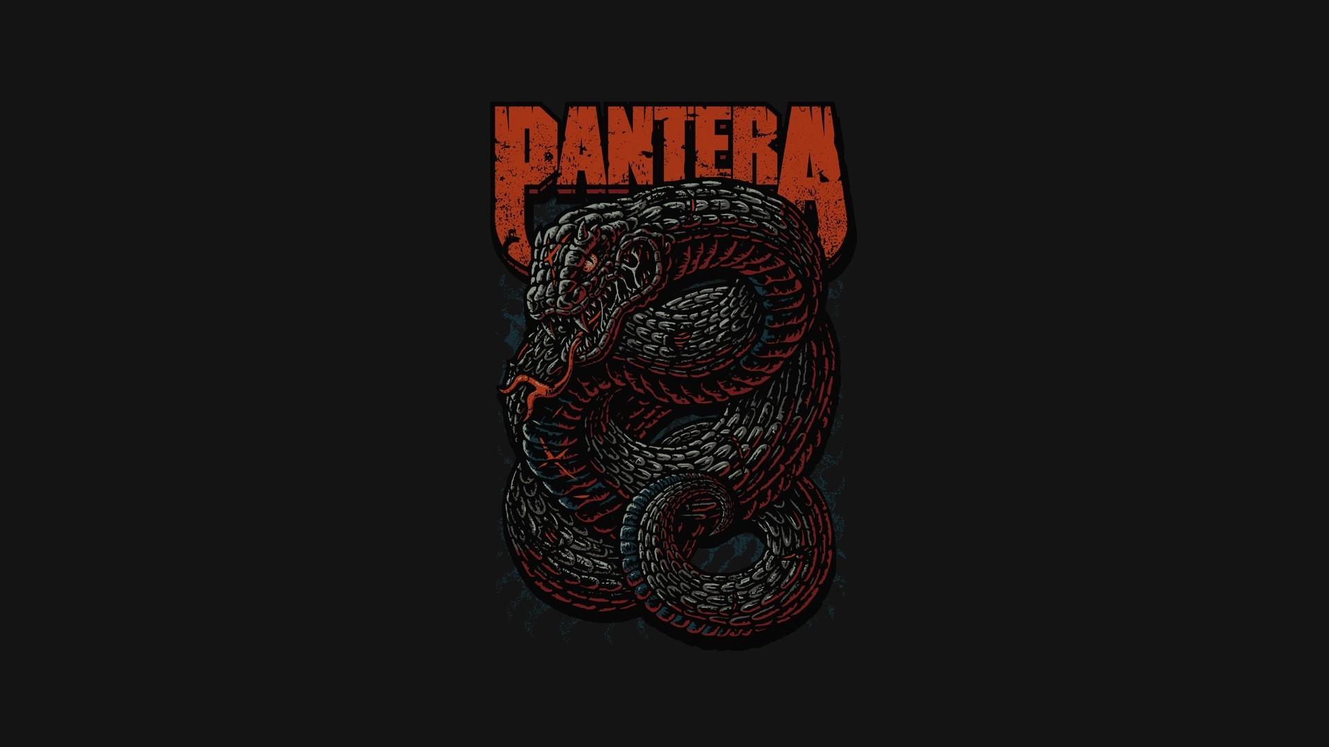 HD wallpaper, 1920X1080 Pantera Music Heavy Metal Thrash Metal Snake Wallpaper Jpg 171 Kb