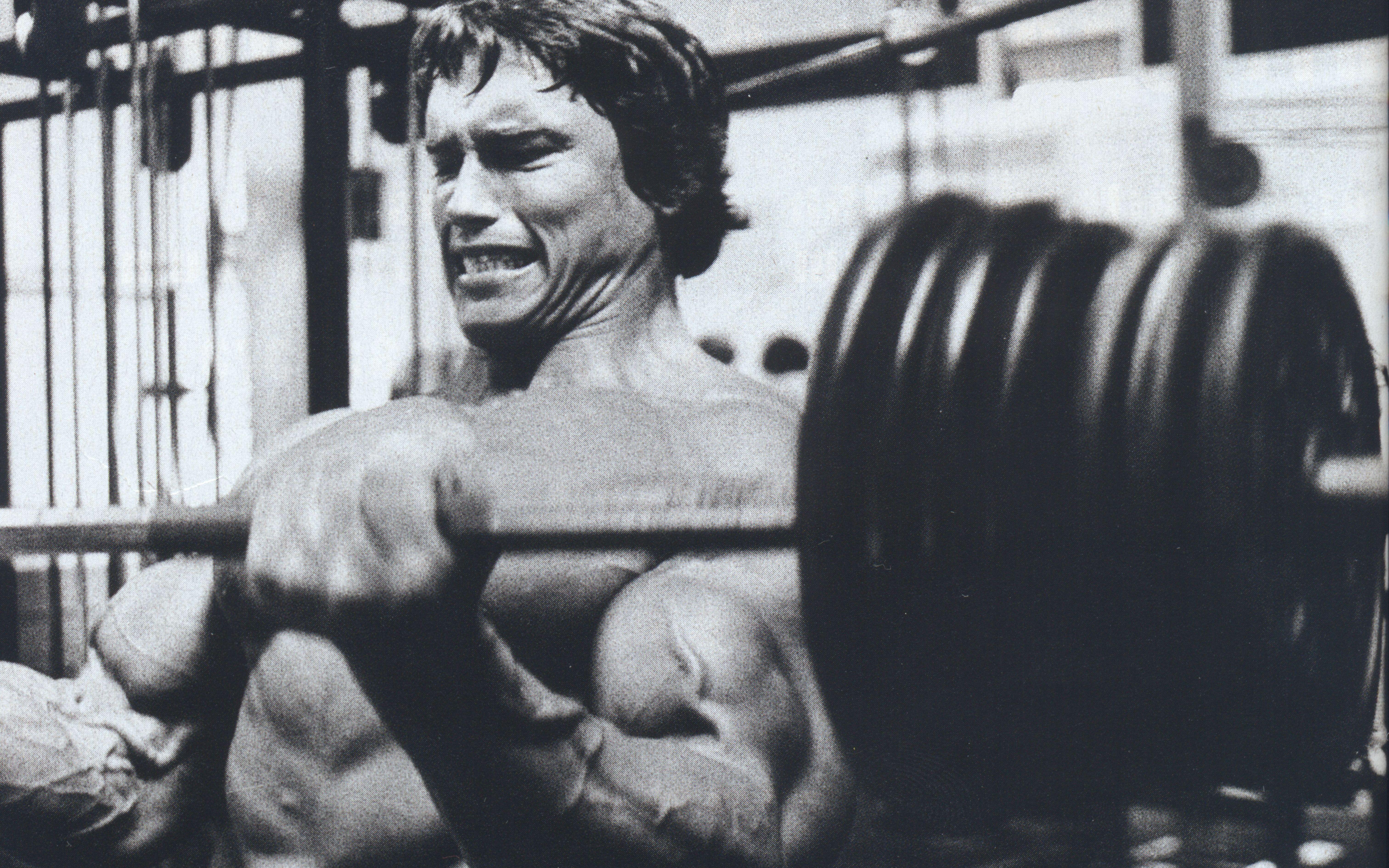 HD wallpaper, 6049X3780 Arnold Schwarzenegger Bodybuilding Bodybuilder Barbell Dumbbells Gyms Exercising