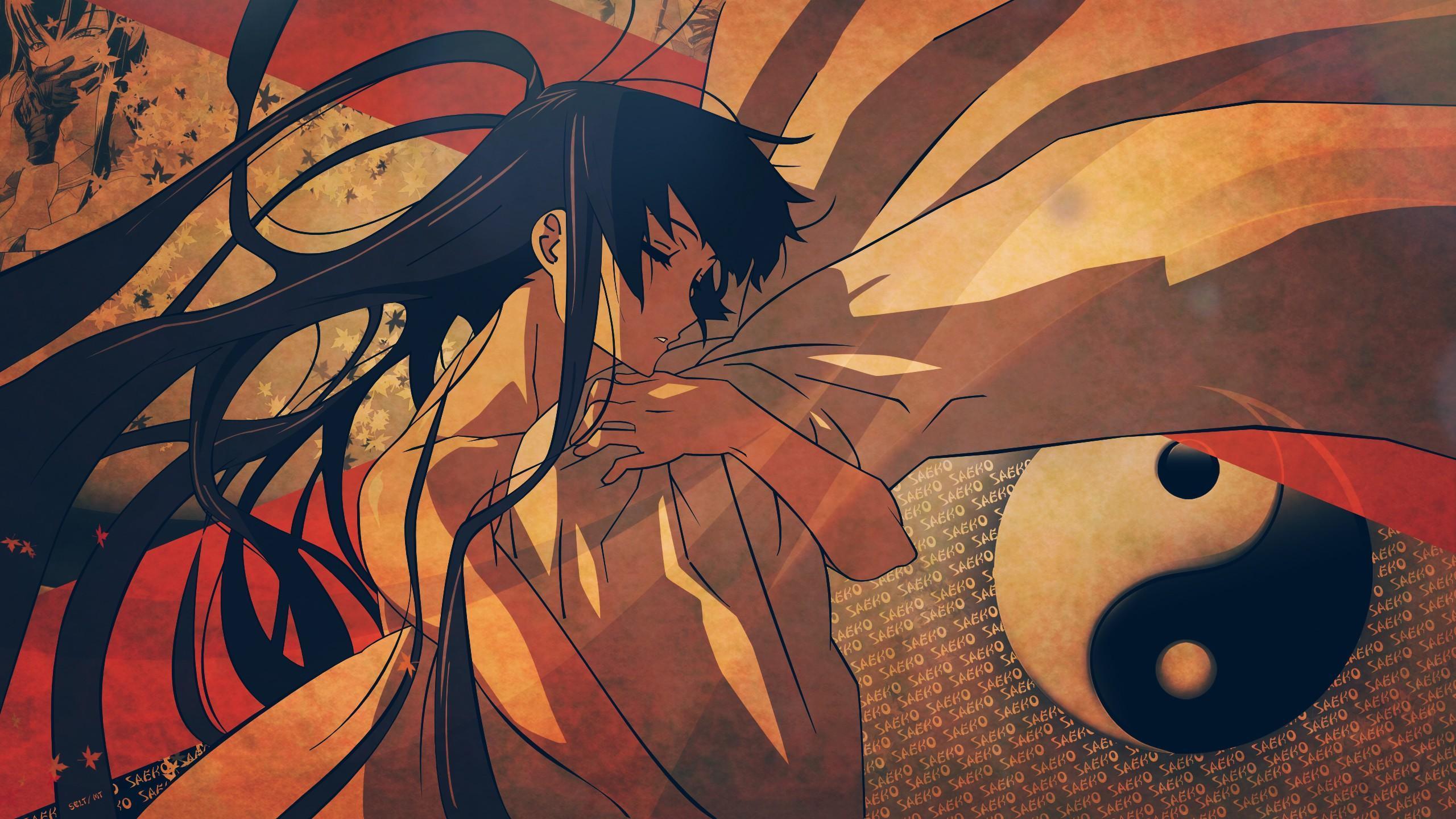 HD wallpaper, Yin And Yang, Busujima Saeko, Anime, Highschool Of The Dead