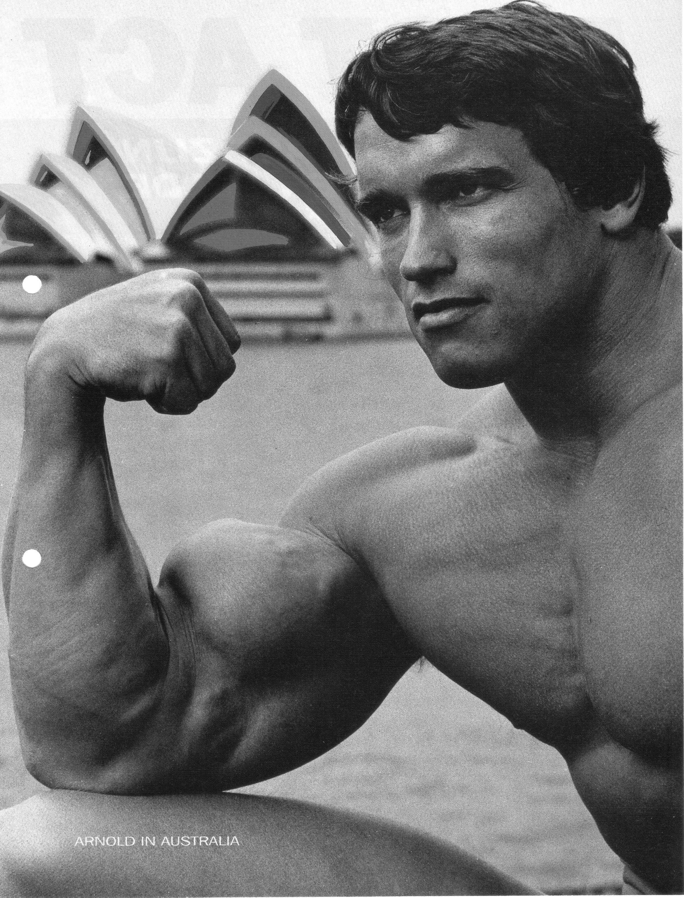 HD wallpaper, Arnold Schwarzenegger Bodybuilding Bodybuilder Barbell Dumbbells Gyms Exercising