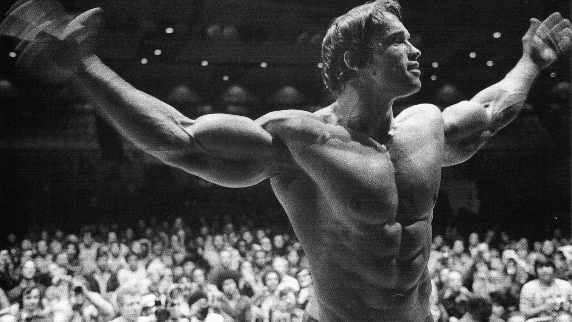 HD wallpaper, Bodybuilding, Arnold Schwarzenegger, Bodybuilder