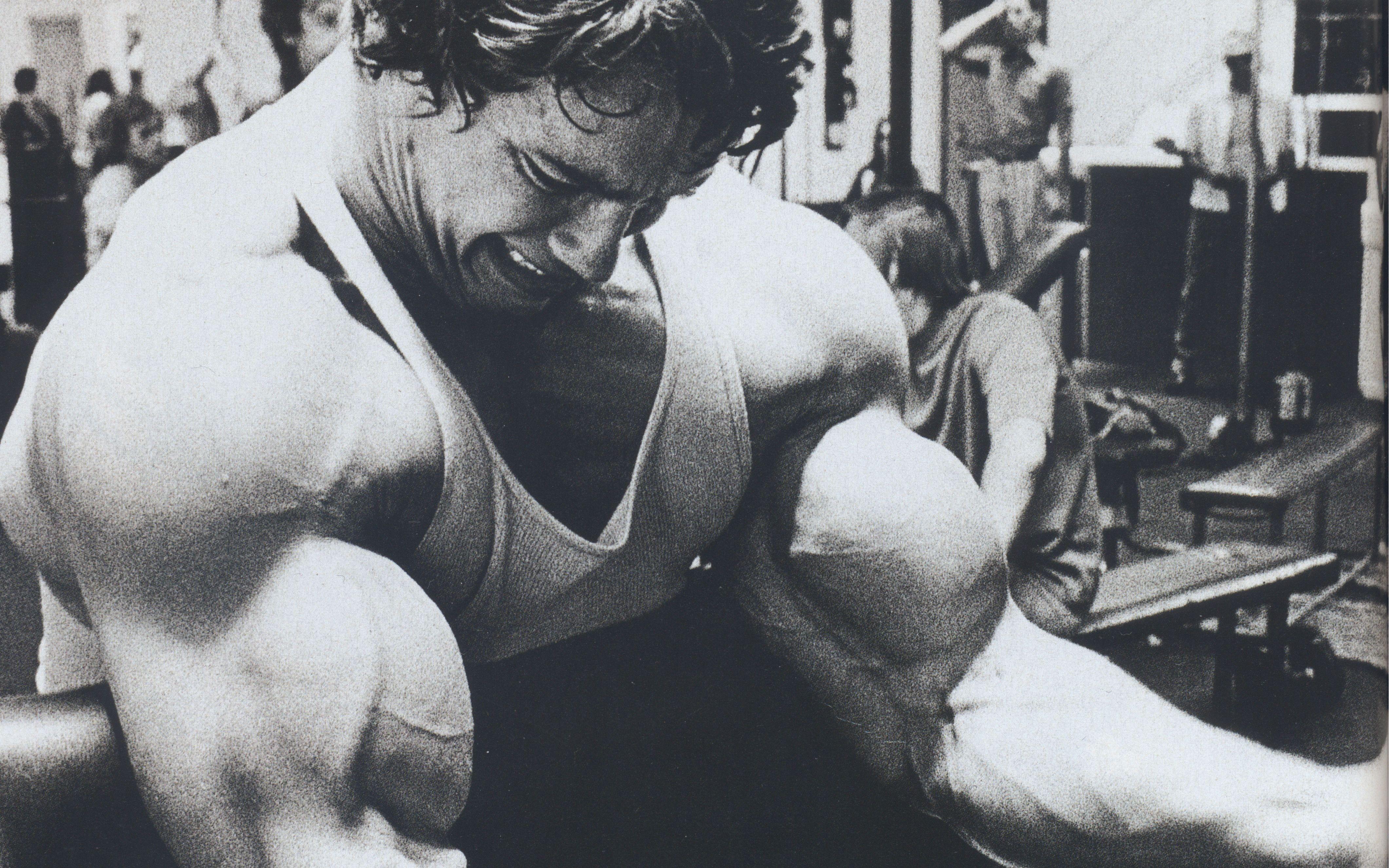 HD wallpaper, Arnold Schwarzenegger, Barbell, Bodybuilding, Bodybuilder, Gyms, Exercising