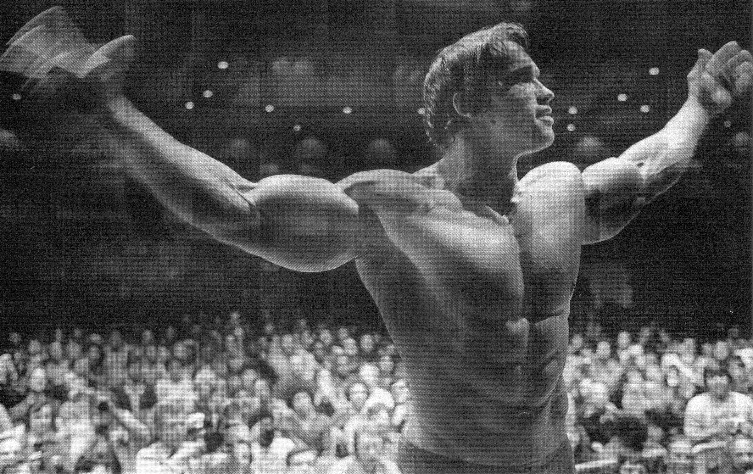 HD wallpaper, Gyms, Arnold Schwarzenegger, Exercising, Dumbbells, Skinny, Bodybuilding, Bodybuilder, Barbell