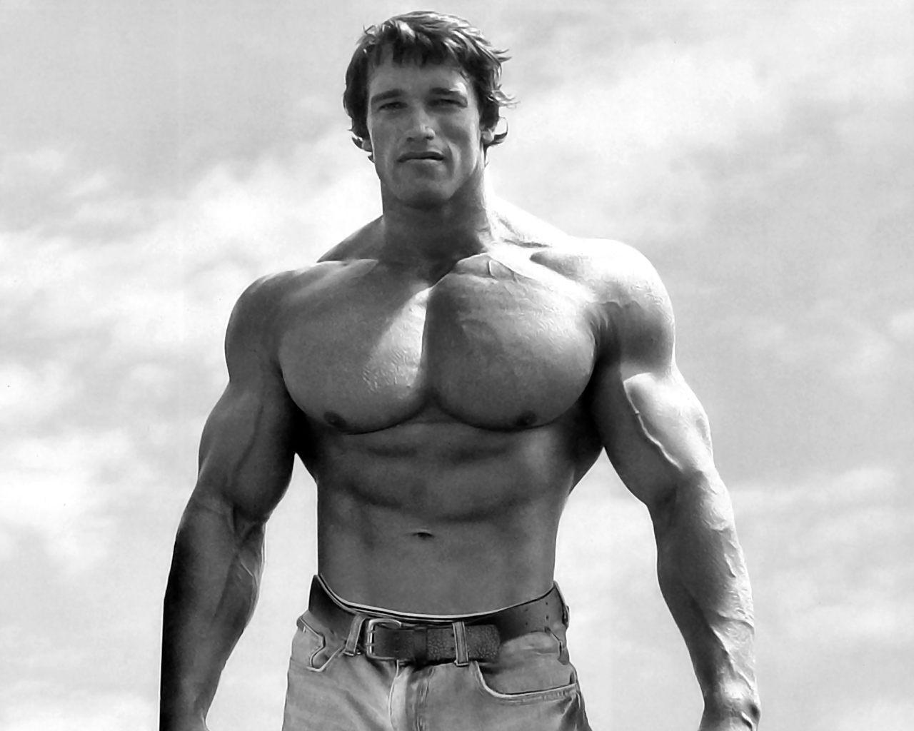 HD wallpaper, Muscular, Bodybuilder, Arnold Schwarzenegger, Gyms