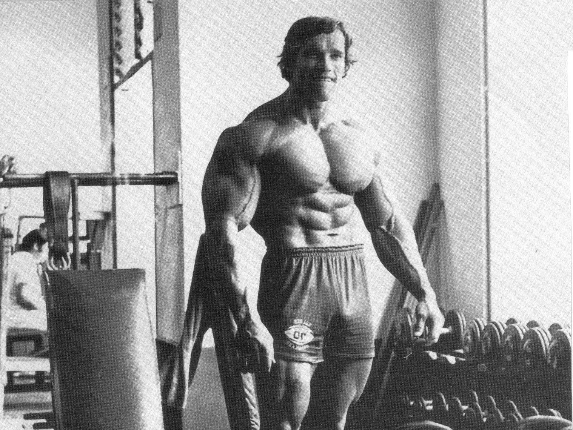 HD wallpaper, Muscles, Arnold Schwarzenegger, Bodybuilding, Exercise, Bodybuilder, Working Out